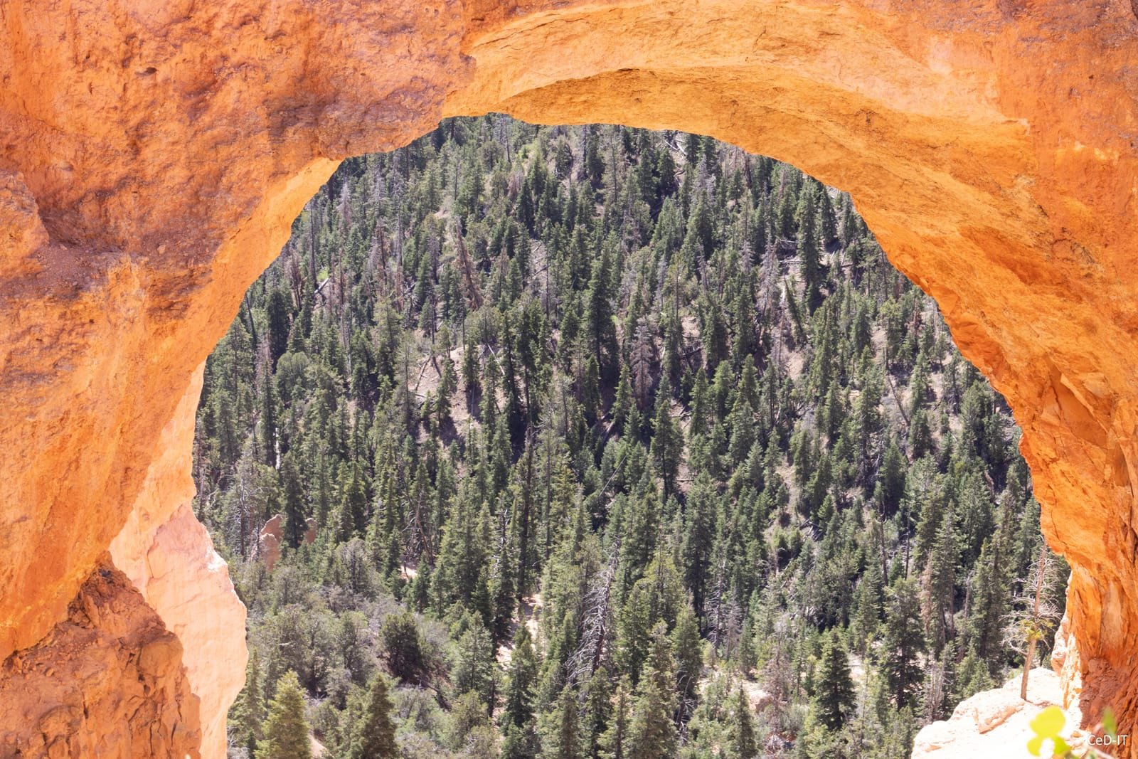 Arche naturelle de roche orange ouvrant sur une forêt