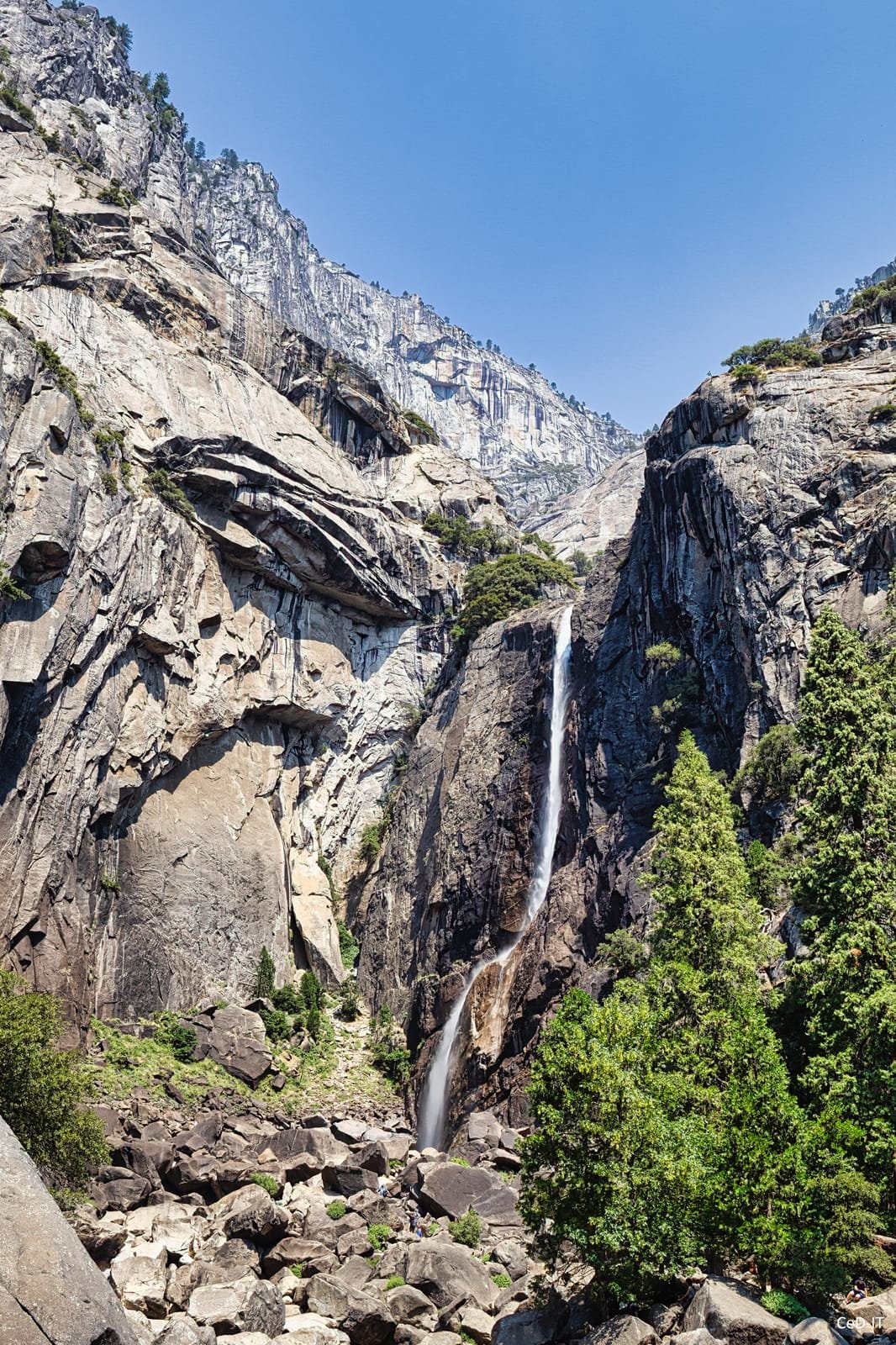 Cascade dévalant une paroi rocheuse entre les pins